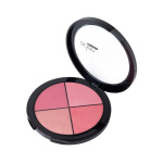 ADEN BLUSHER PALETTE - Image 1