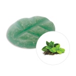 87593_scentchips-green-tea-fragrance-chips-scentchips